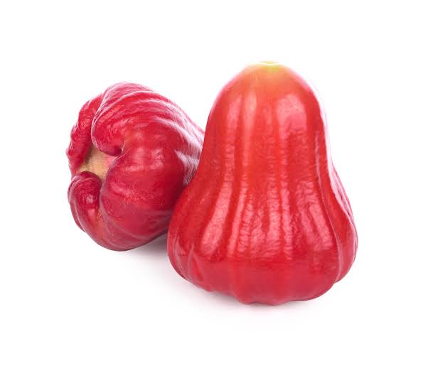 Rose Apple plant grown at our Corozal nursery