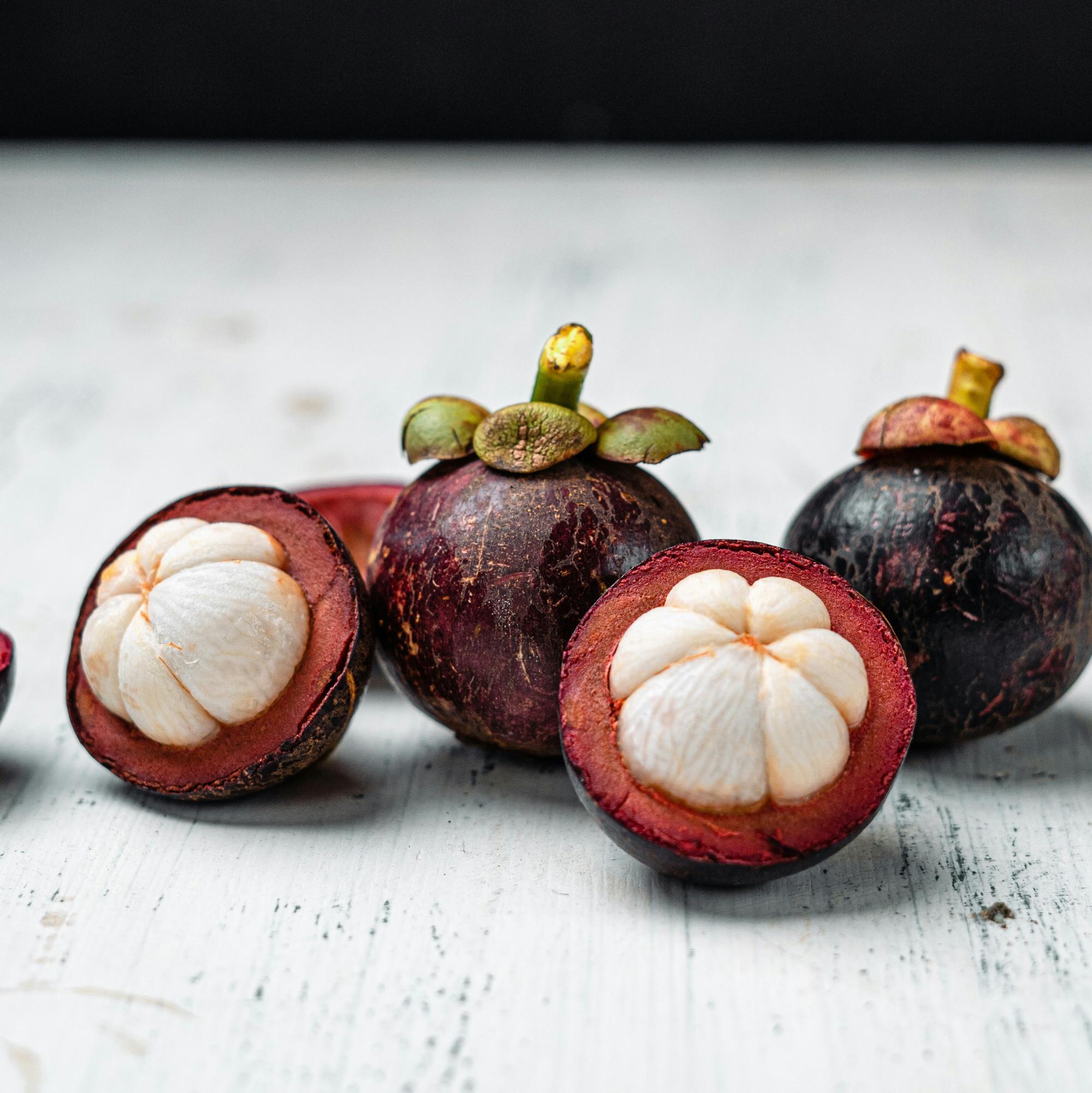 Mangosteen plant grown at our Corozal nursery