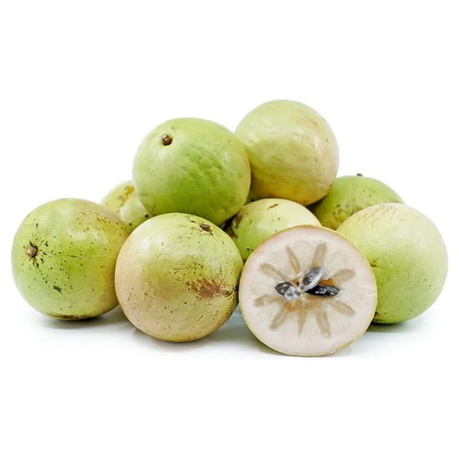 Green Star Apple (Apple Varieties) for sale at our Corozal, Belize nursery